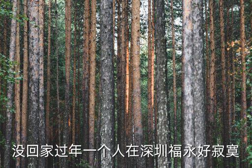 沒回家過年一個(gè)人在深圳福永好寂寞