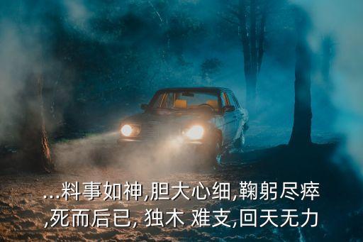 ...料事如神,膽大心細,鞠躬盡瘁,死而后已, 獨木 難支,回天無力