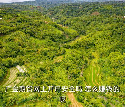 廣州金控期貨如何，廣金期貨網上開戶安全嗎 怎么賺錢的呢