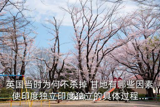 英國當時為何不殺掉 甘地有哪些因素使印度獨立印度獨立的具體過程...