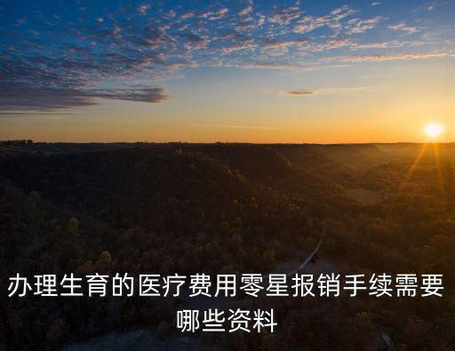 辦理生育的醫療費用零星報銷手續需要哪些資料