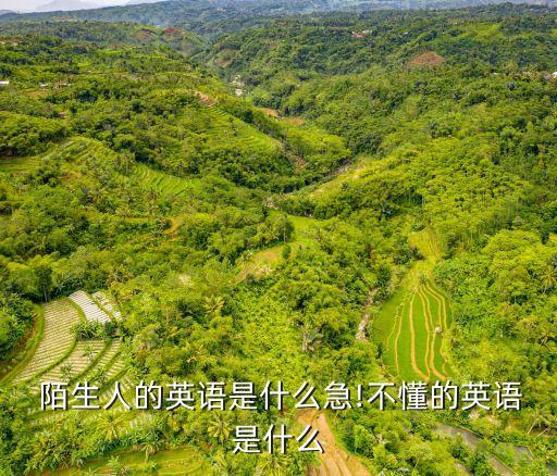  陌生人的英語是什么急!不懂的英語是什么