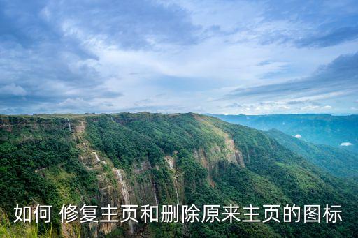 如何 修復(fù)主頁和刪除原來主頁的圖標(biāo)