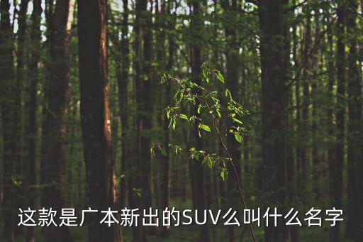 這款是廣本新出的SUV么叫什么名字