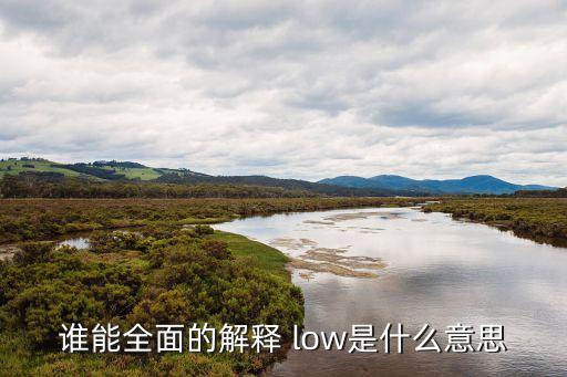 low是什么意思,冰箱low是什么意思