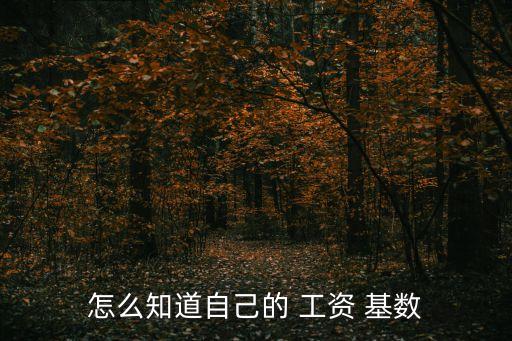 怎么知道自己的 工資 基數(shù)