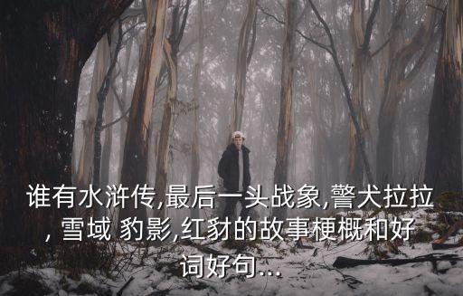 誰有水滸傳,最后一頭戰象,警犬拉拉, 雪域 豹影,紅豺的故事梗概和好詞好句...
