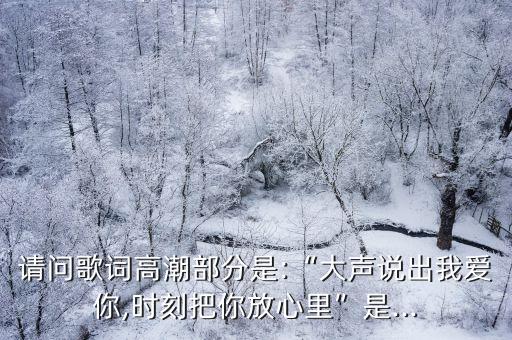 把你放在我心里,將心比心:我把你放在心里永遠有個你