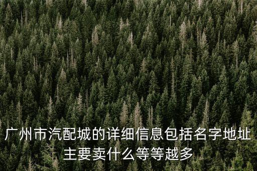 廣州市汽配城的詳細(xì)信息包括名字地址主要賣什么等等越多
