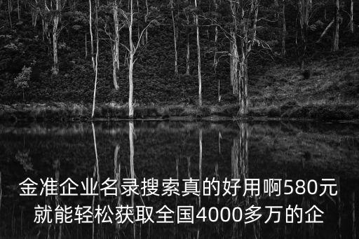 金準企業名錄搜索真的好用啊580元就能輕松獲取全國4000多萬的企