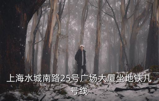 上海水城南路25號廣場大廈坐地鐵幾號線