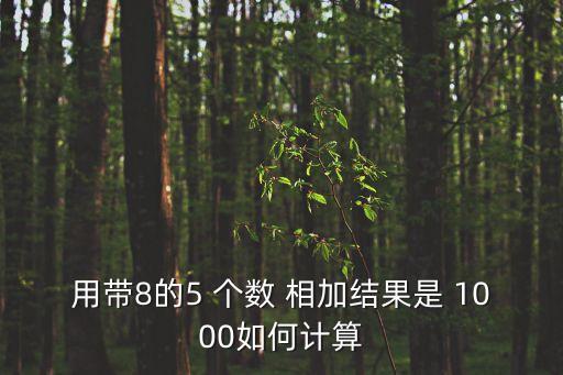 用帶8的5 個數 相加結果是 1000如何計算