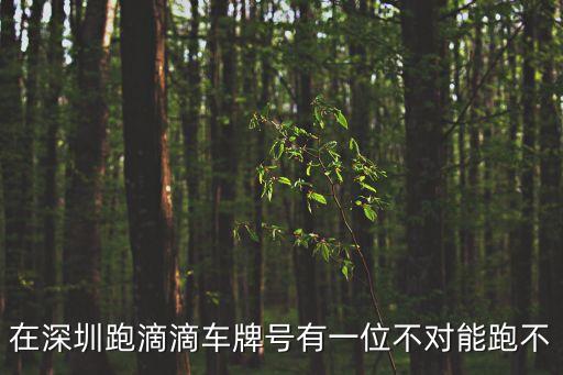 深圳車牌不一樣，深港牌跟深圳牌是一樣的嗎
