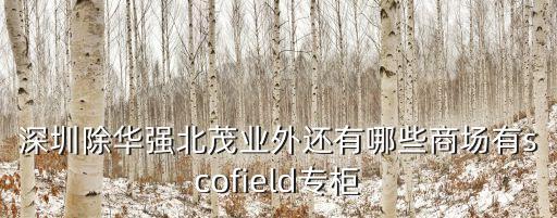 深圳喜港城，深圳除華強北茂業外還有哪些商場有scofield專柜