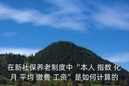 本人指數(shù)化月平均繳費(fèi)工資怎么算,河南省本人指數(shù)化月平均繳費(fèi)工資怎么算