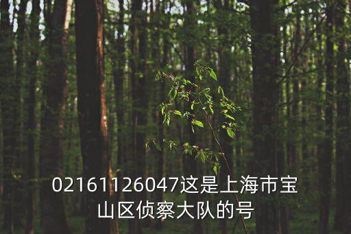 02161126047這是上海市寶山區偵察大隊的號