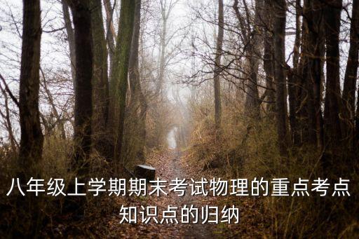八年級上學期期末考試物理的重點考點知識點的歸納