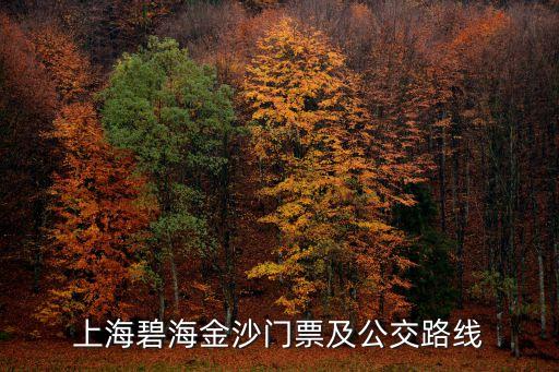 上海市碧海金沙路線，上海碧海金沙門票及公交路線