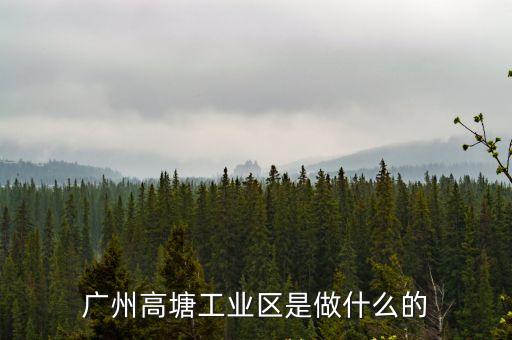 廣州高埔工業區，廣州高塘工業區是做什么的