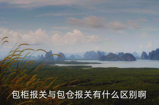 包柜報關與包倉報關有什么區別啊