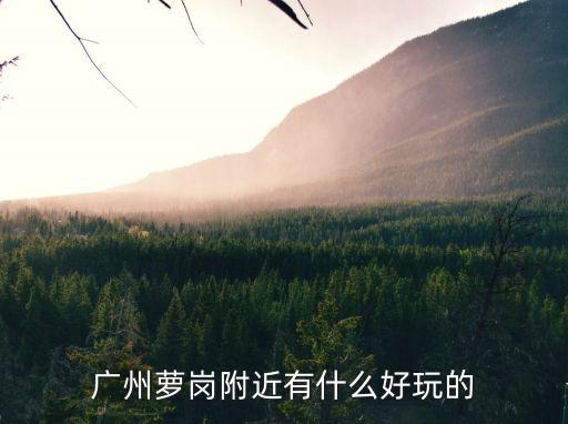 廣州蘿崗附近有什么好玩的