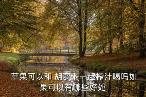 蘋果胡蘿卜汁