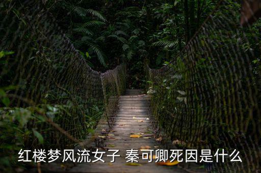 秦可卿之死