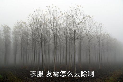 衣服發(fā)霉怎么洗掉,白色棉質(zhì)衣服發(fā)霉怎么洗掉