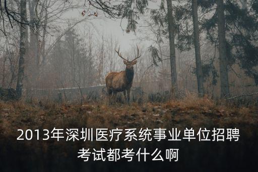 2013年深圳醫療系統事業單位招聘考試都考什么啊