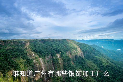 誰知道廣州有哪些銀飾加工廠么