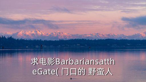 求電影BarbariansattheGate( 門口的 野蠻人