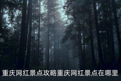 黃桷坪涂鴉藝術(shù)街,楊家坪到黃桷坪涂鴉藝術(shù)街
