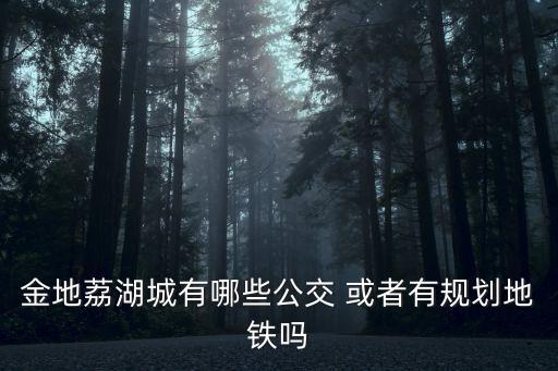 金地荔湖城有哪些公交 或者有規劃地鐵嗎