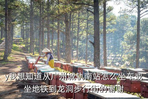 廣州南到龍洞地鐵站，y我想知道從廣州城軌南站怎么坐車或坐地鐵到龍洞步行街的謝謝