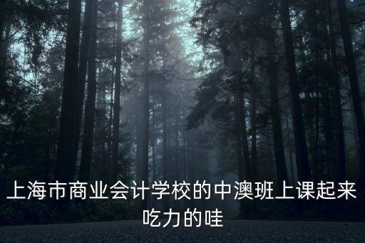 上海市商業會計學校的中澳班上課起來吃力的哇
