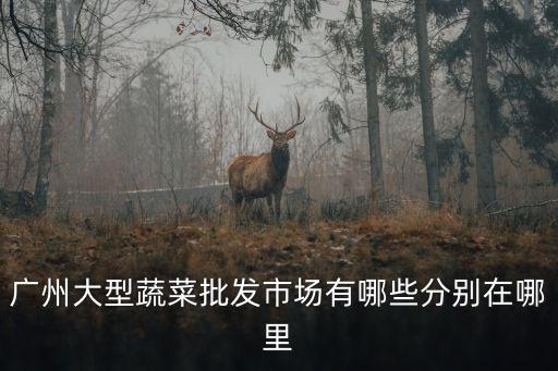 廣州大型蔬菜批發市場有哪些分別在哪里