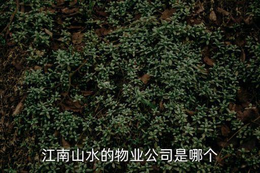 江南山水的物業(yè)公司是哪個(gè)
