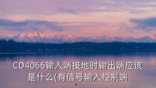 cd4066,尋線儀404066bm燒了先檢查電路找維修人員跟換