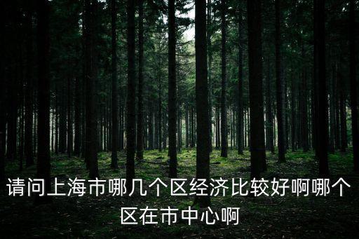 請問上海市哪幾個區經濟比較好啊哪個區在市中心啊