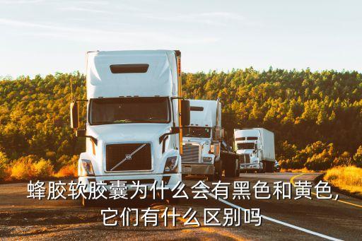黑蜂膠