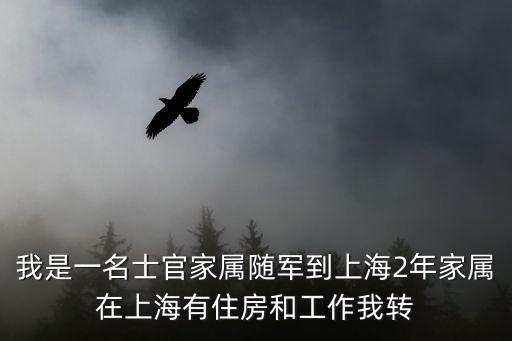 上海市士官轉(zhuǎn)業(yè)安置如何，我是一名士官家屬隨軍到上海2年家屬在上海有住房和工作我轉(zhuǎn)