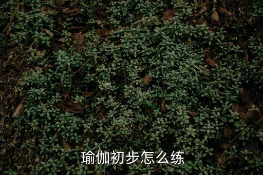  瑜伽初步怎么練