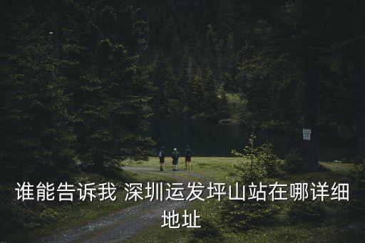 深圳地鐵14號線坪山廣場站位置，坪山地鐵站在哪