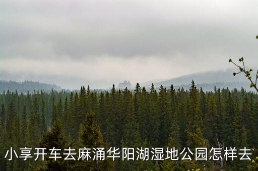 小享開車去麻涌華陽湖濕地公園怎樣去