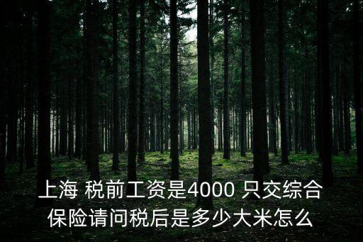 上海 稅前工資是4000 只交綜合保險請問稅后是多少大米怎么