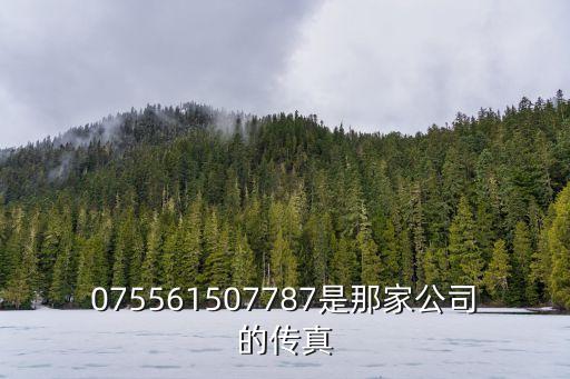 075561507787是那家公司的傳真