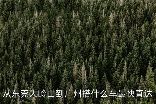 大齡山到廣州汽車，東莞大齡山廣場有到廣州東站客運站的直達車沒 時間 價錢