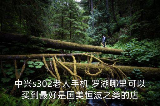 中興s302老人手機 羅湖哪里可以買到最好是國美恒波之類的店