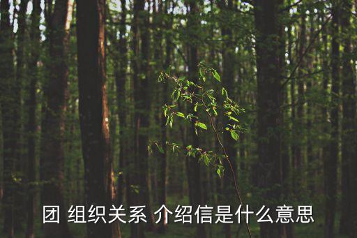 組織關系介紹信,新樣式介紹信1規范填寫不留空白