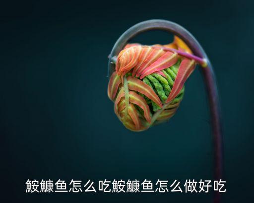 安康魚價格